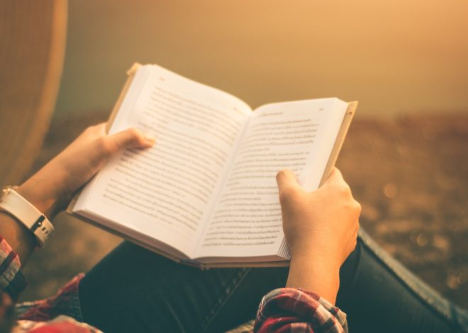 Fire Demon: The Book That Launches the Epic Raynes Legacy Series